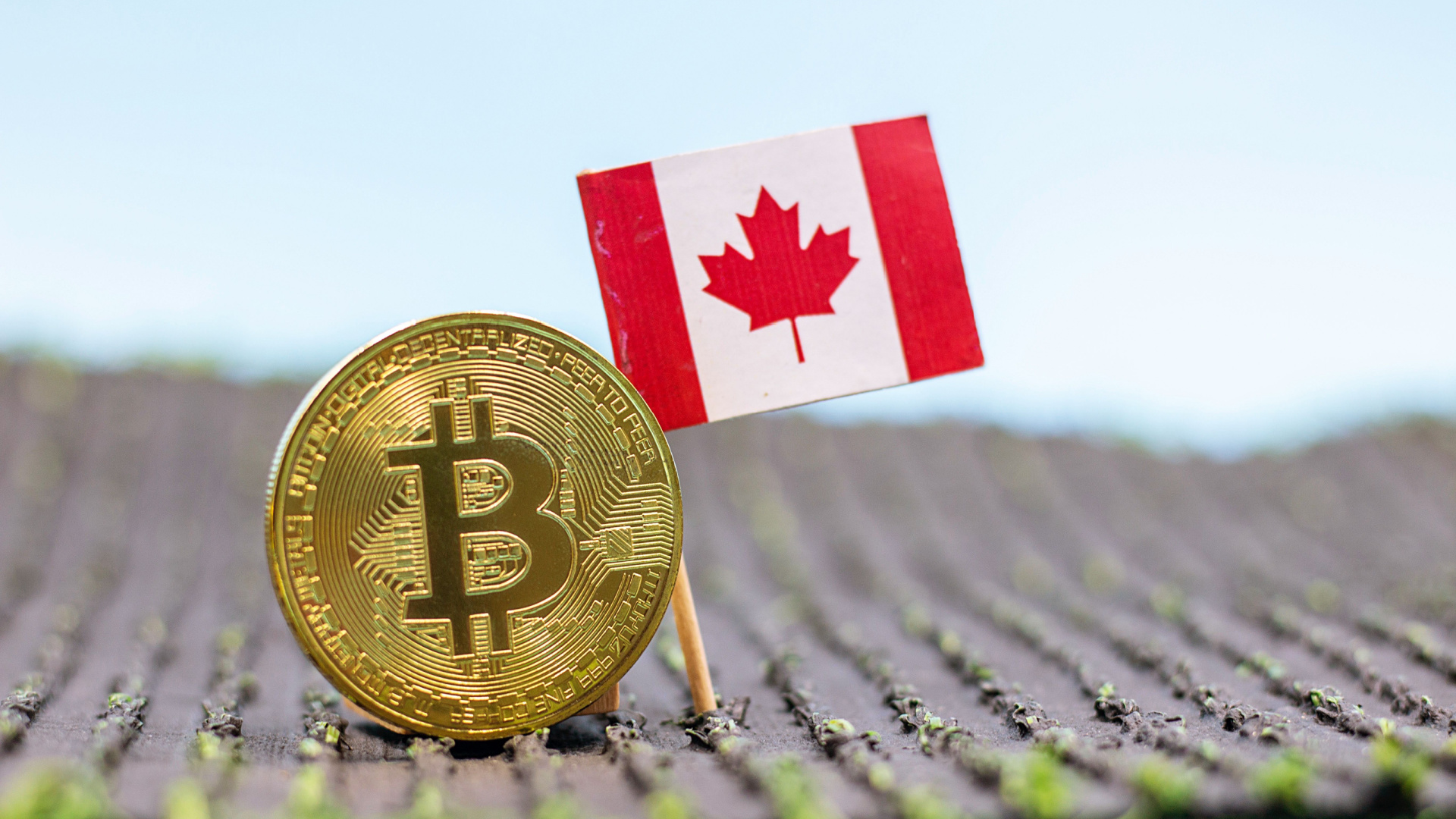Canada to Set up Storage for Seized Digital Assets