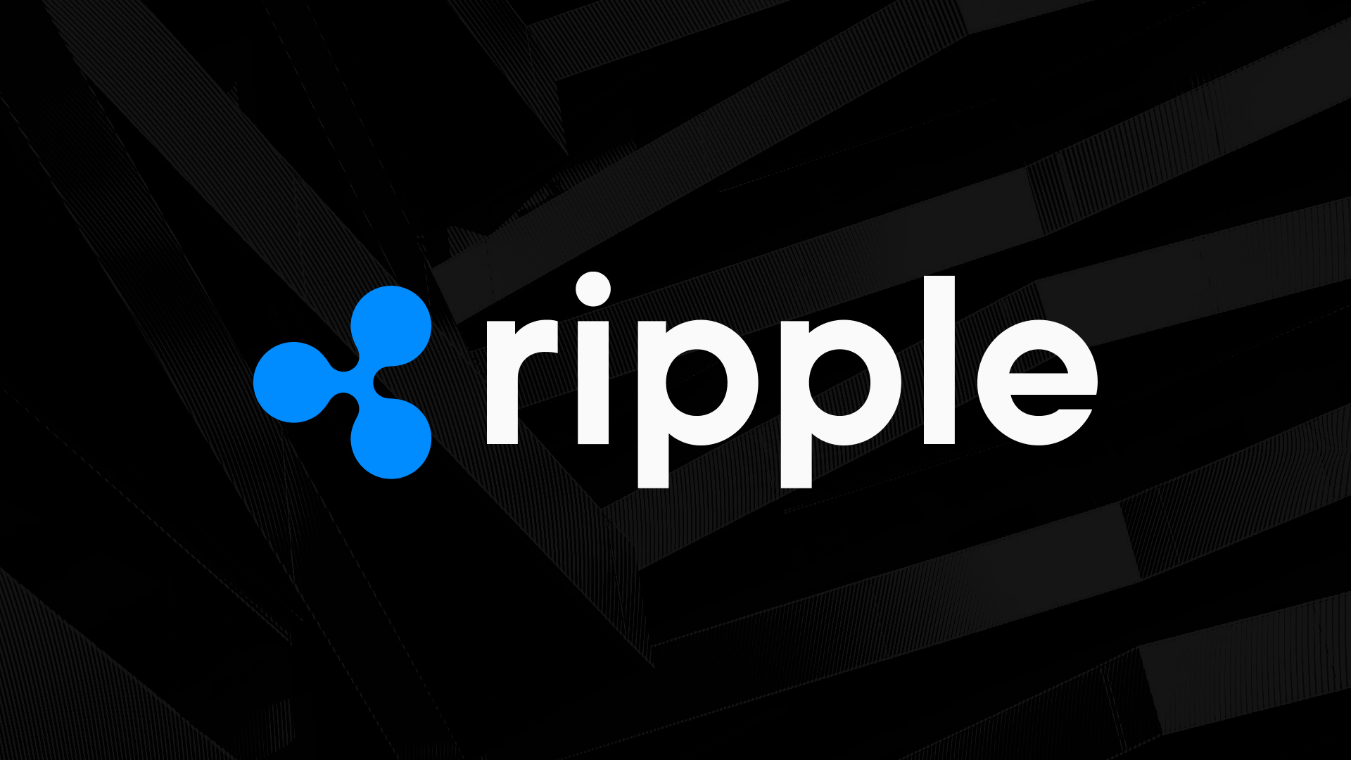 Ripple CEO Claims SEC Case May Take Years To Appeal...