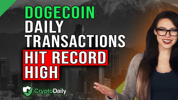 DOGE Transactions Hit ATH, Crypto Daily TV 16/5/2023