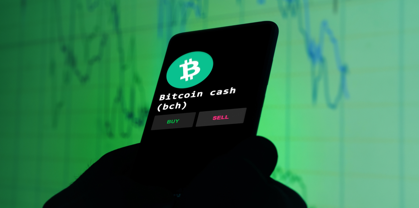 Bitcoin Cash (BCH) Witnesses Dramatic Surge