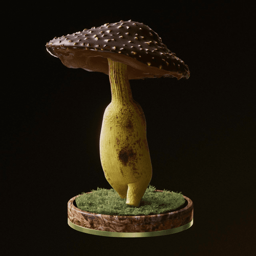 Fungi #0