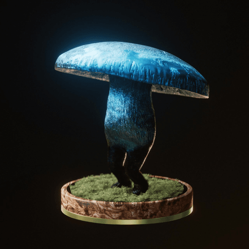 Fungi #3