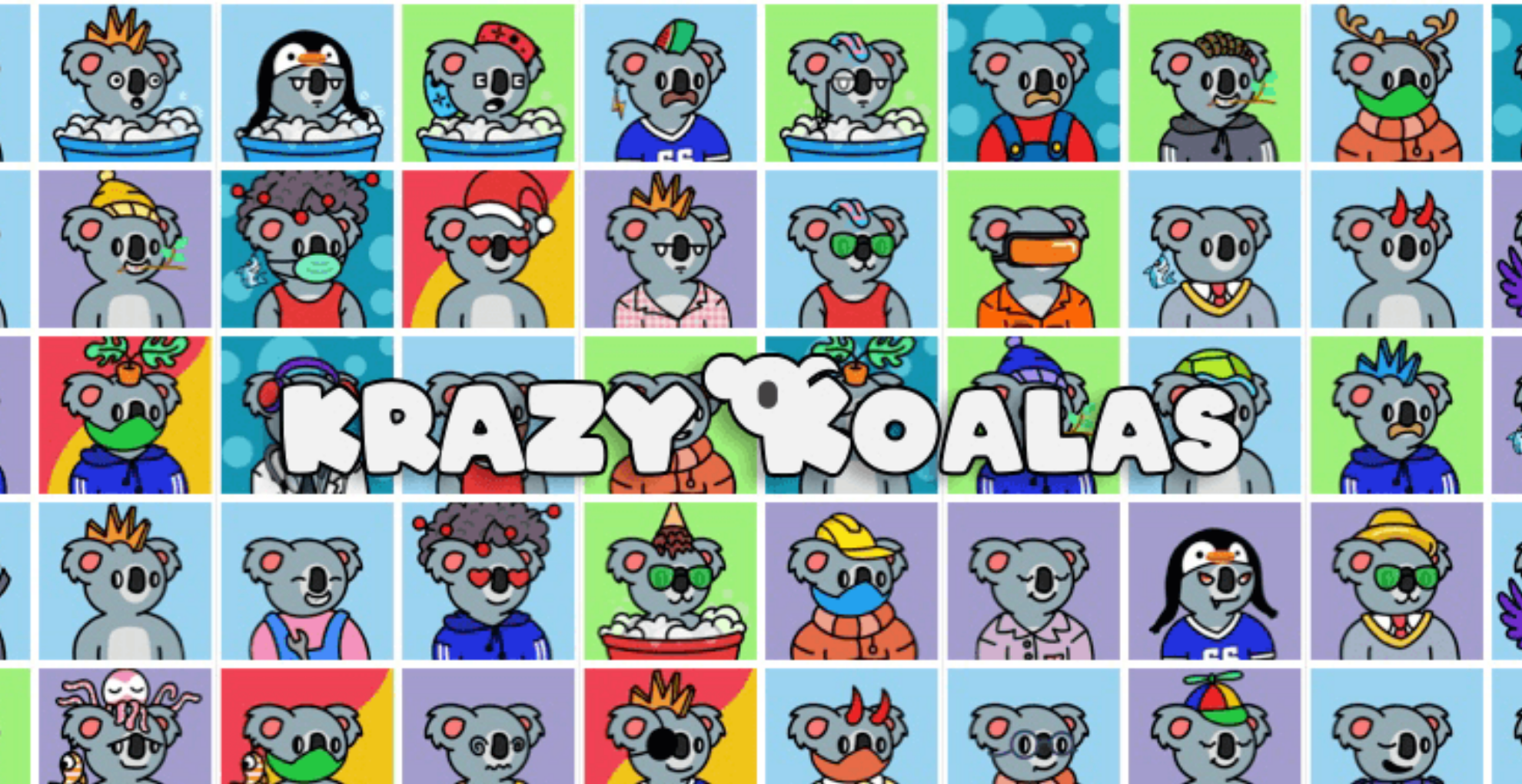 cold koala crypto price