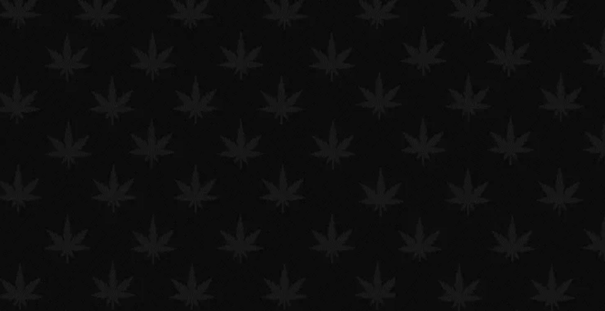NFT Collection Stoner Ape Club | SAC Price, Stats, and Review