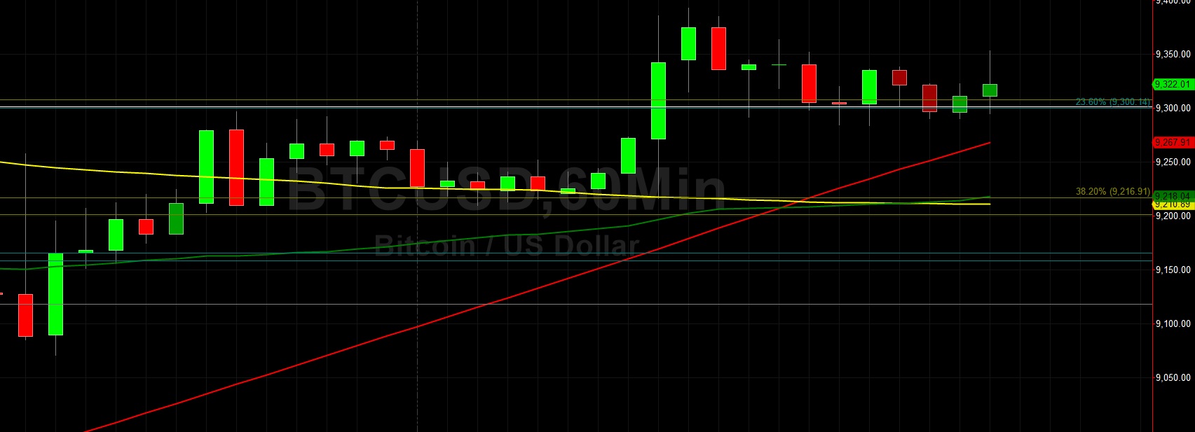 Sally Ho's Technical Analysis 3 November 2019