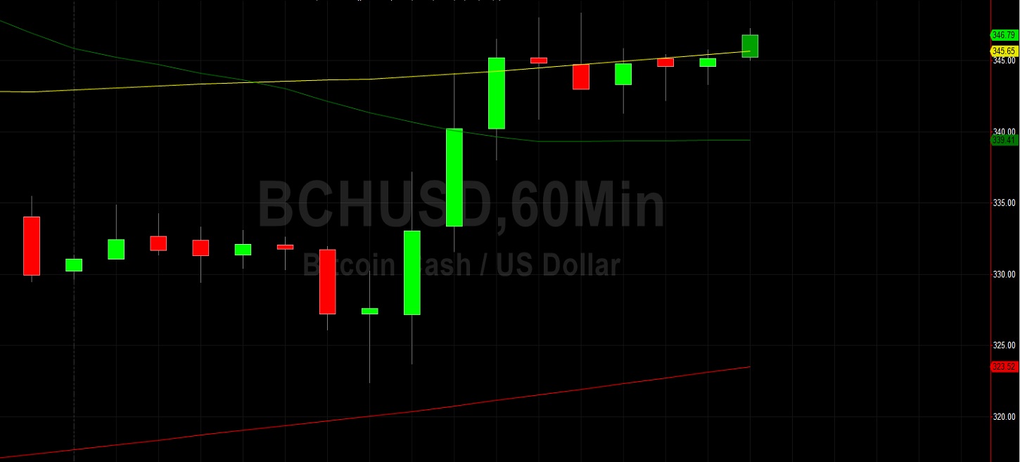 Sally Ho's Technical Analysis 21 January 2020 LTC BCH