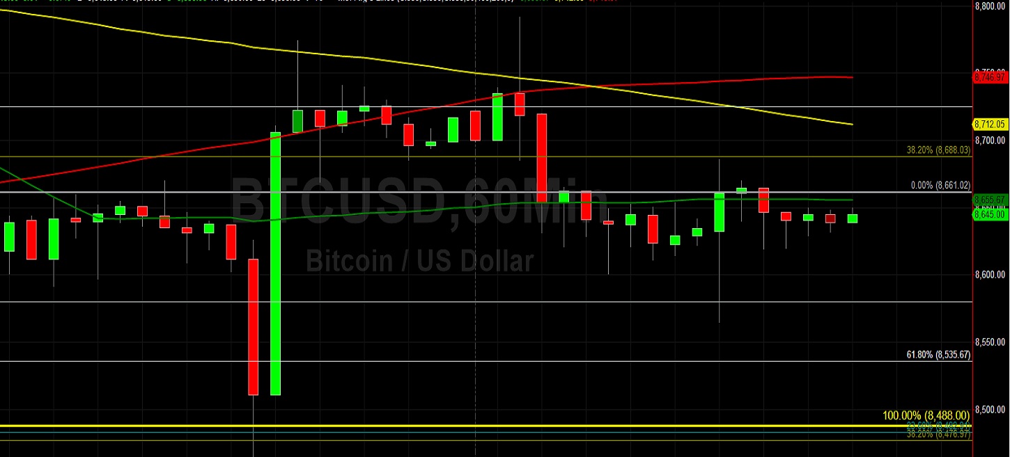 Sally Ho's Technical Analysis 23 January 2020 BTC ETH