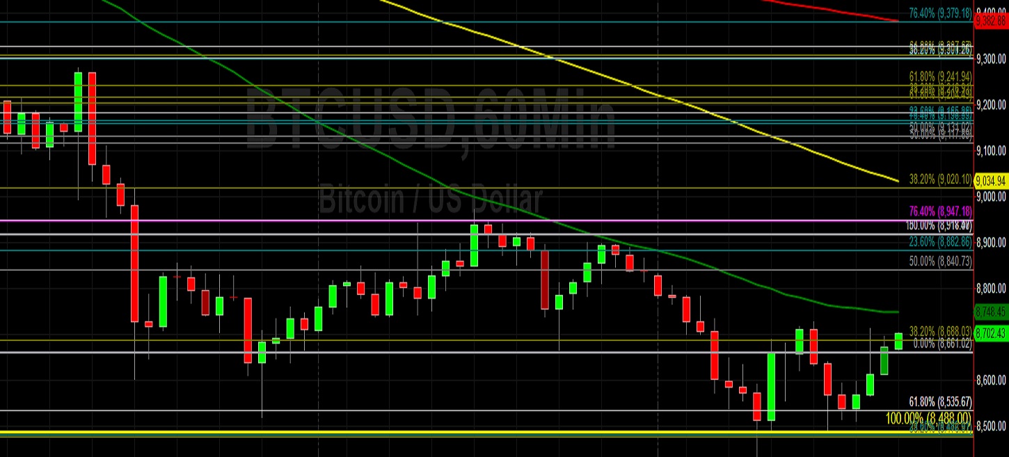 Sally Ho's Technical Analysis 29 February 2020 BTC ETH