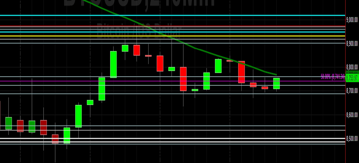 Sally Ho's Technical Analysis 5 March 2020 BTC ETH