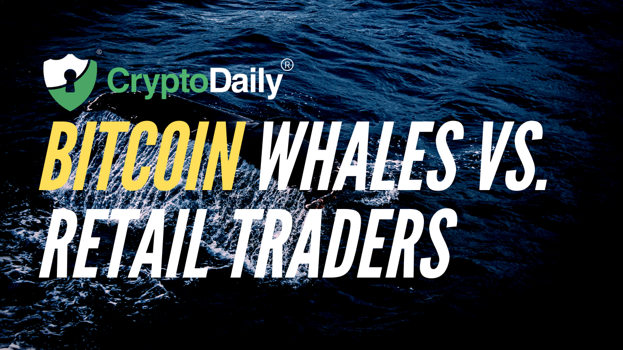 Bitcoin Whales Vs. Retail Traders