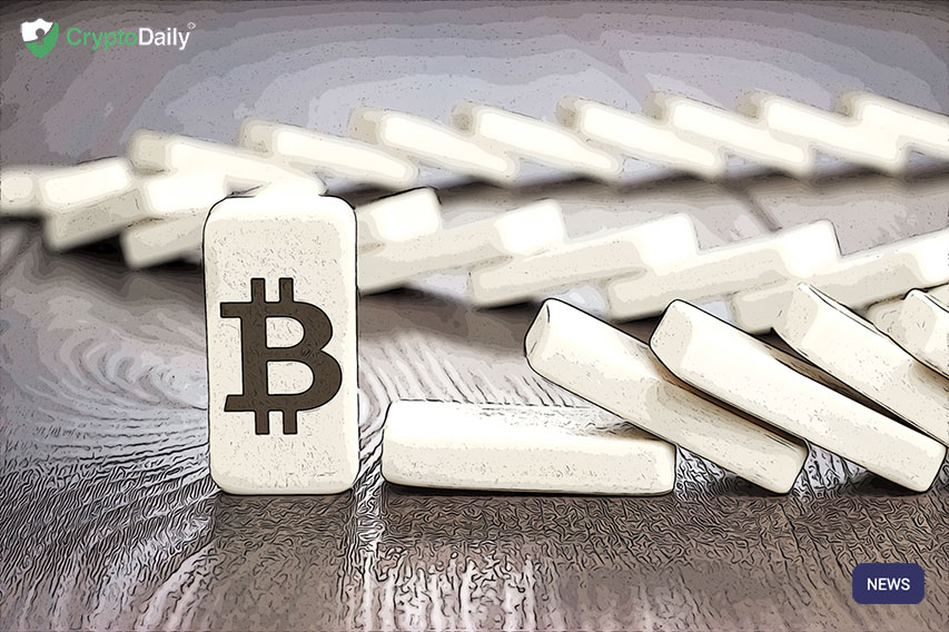 Celsius Network CEO Discusses BTC & Why He Got Involved With Crypto Part 1